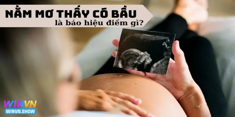 Các tình huống khi mơ thấy có bầu cho lô thủ