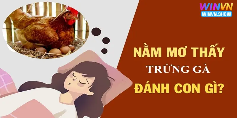 Chiêm bao giấc mơ thấy trứng gà là điềm gì?